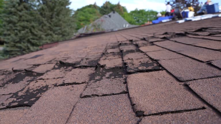 Best Roof Coating and Sealing  in Byron, MN