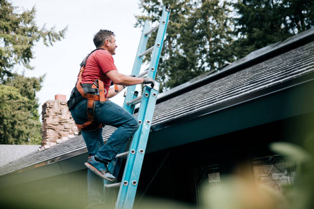 Best Roof Coating and Sealing  in Byron, MN