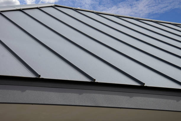 Best Roof Leak Repair  in Byron, MN